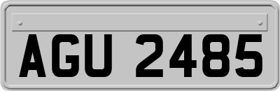 AGU2485