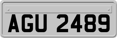 AGU2489