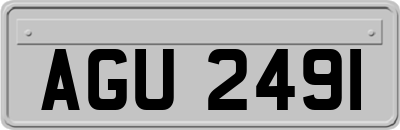 AGU2491