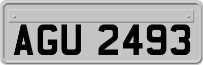 AGU2493