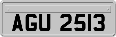 AGU2513