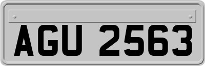 AGU2563