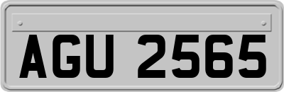 AGU2565