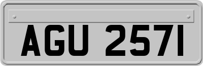 AGU2571