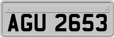 AGU2653