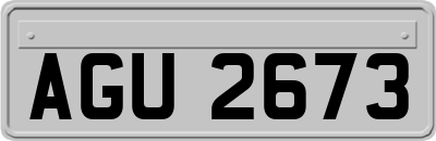 AGU2673