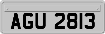 AGU2813