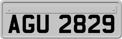 AGU2829