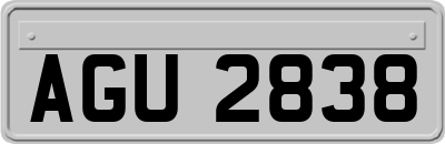 AGU2838