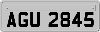AGU2845
