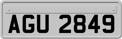 AGU2849