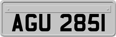 AGU2851