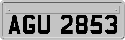 AGU2853