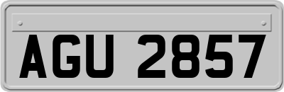 AGU2857