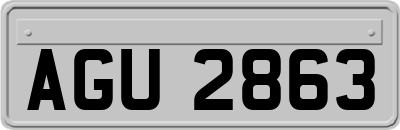 AGU2863