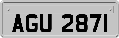 AGU2871