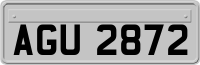 AGU2872