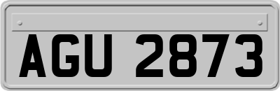 AGU2873