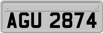 AGU2874
