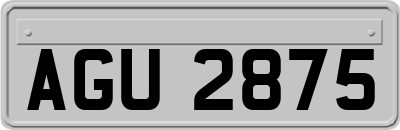AGU2875