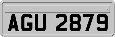 AGU2879