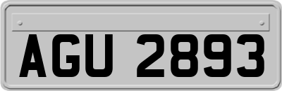AGU2893