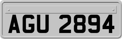 AGU2894
