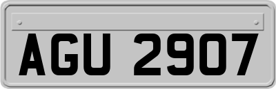 AGU2907