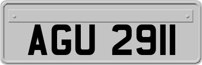AGU2911