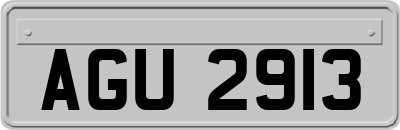 AGU2913