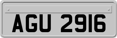 AGU2916