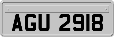 AGU2918