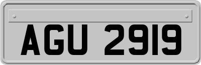 AGU2919