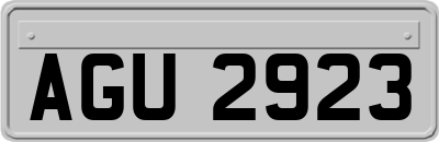 AGU2923