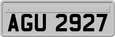AGU2927