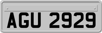 AGU2929