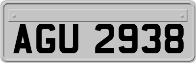 AGU2938