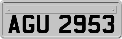 AGU2953