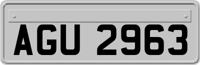 AGU2963