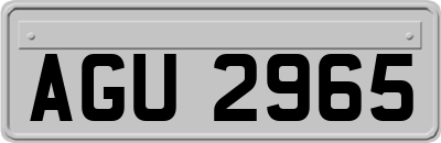 AGU2965