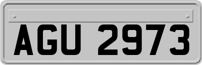 AGU2973