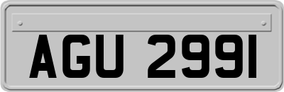 AGU2991
