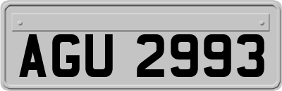 AGU2993