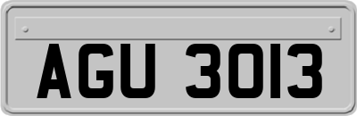AGU3013