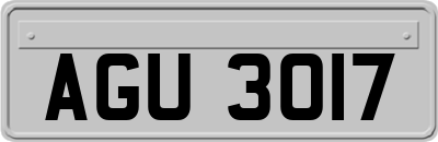 AGU3017