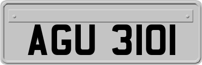 AGU3101