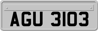 AGU3103