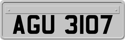 AGU3107