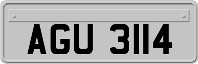 AGU3114