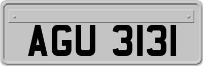 AGU3131